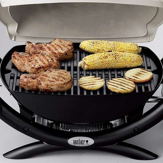 Weber q 1000 review