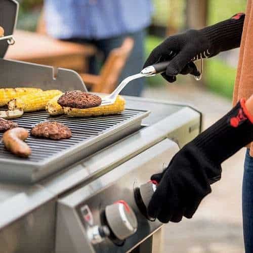 Weber Genesis II E 310 Review
