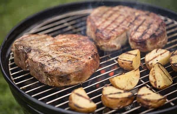 Differences & Similarities Between Weber Go-Anywhere Vs Smokey Joe